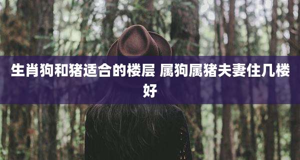 生肖狗和猪适合的楼层 属狗属猪夫妻住几楼好