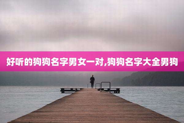 好听的狗狗名字男女一对,狗狗名字大全男狗