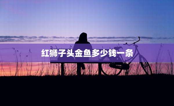 红狮子头金鱼多少钱一条