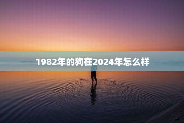 1982年的狗在2024年怎么样