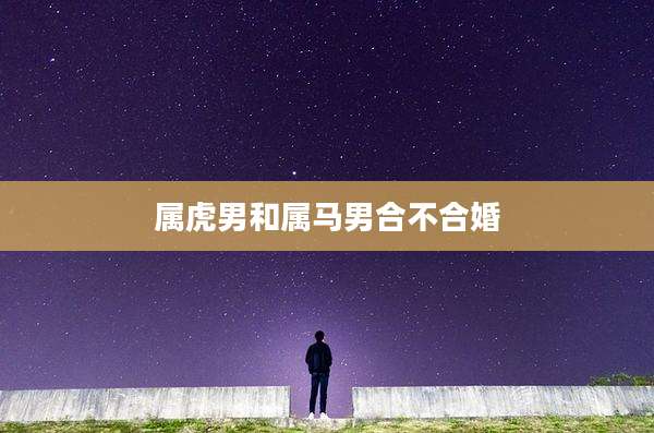 属虎男和属马男合不合婚