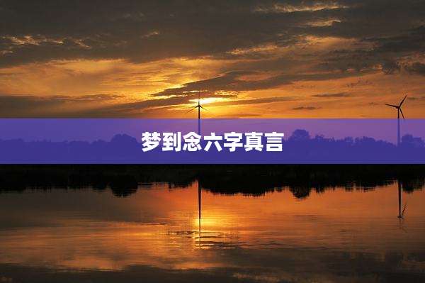 梦到念六字真言