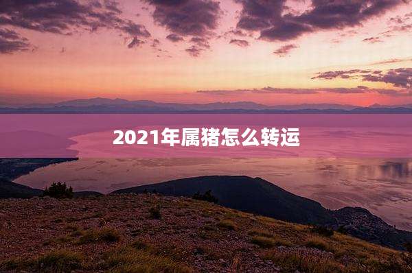 2021年属猪怎么转运