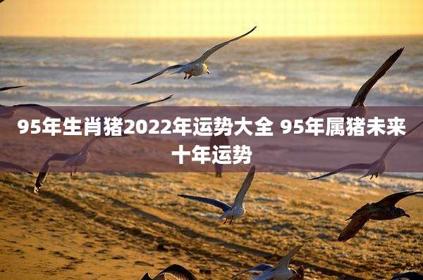 95年生肖猪2022年运势大全 95年属猪未来十年运势