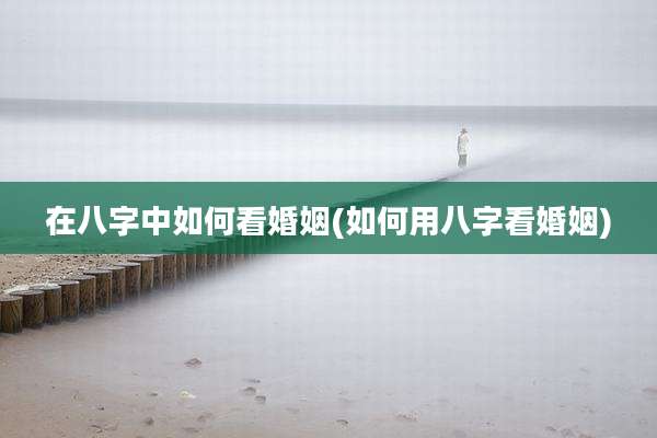 在八字中如何看婚姻(如何用八字看婚姻)