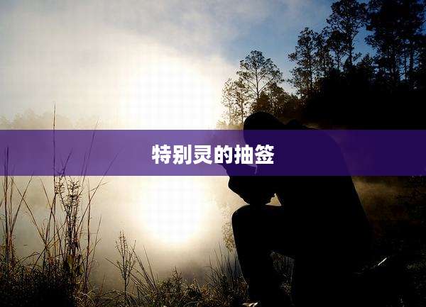 特别灵的抽签