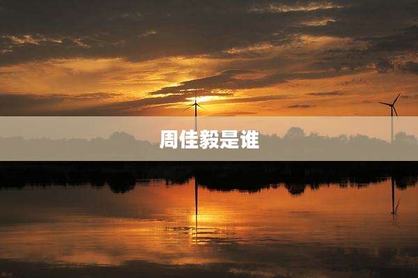 周佳毅是谁