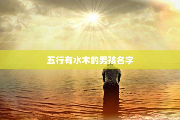 五行有水木的男孩名字