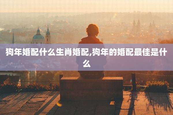 狗年婚配什么生肖婚配,狗年的婚配最佳是什么
