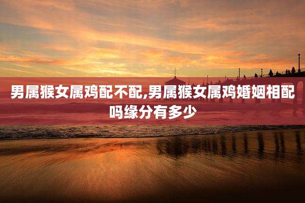 男属猴女属鸡配不配,男属猴女属鸡婚姻相配吗缘分有多少