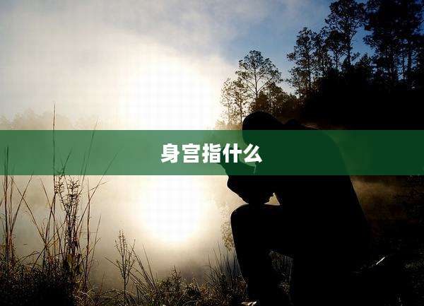 身宫指什么