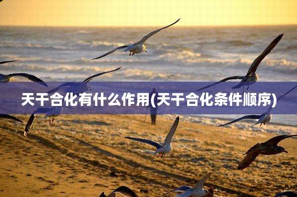 天干合化有什么作用(天干合化条件顺序)