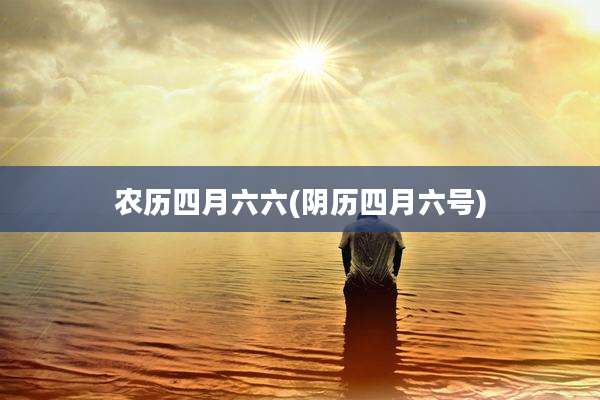 农历四月六六(阴历四月六号)