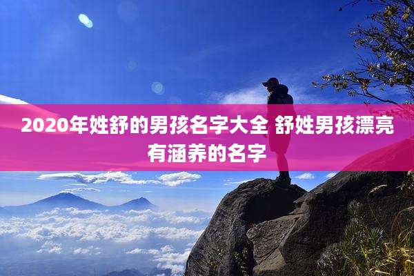 2020年姓舒的男孩名字大全 舒姓男孩漂亮有涵养的名字