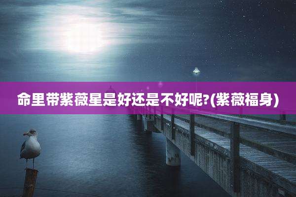 命里带紫薇星是好还是不好呢?(紫薇福身)