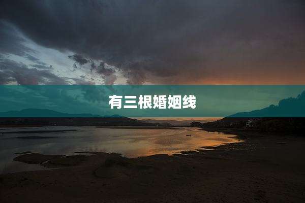 有三根婚姻线