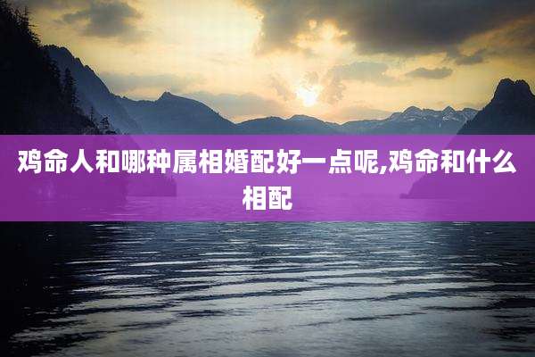 鸡命人和哪种属相婚配好一点呢,鸡命和什么相配