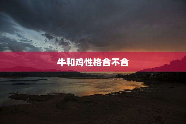 牛和鸡性格合不合