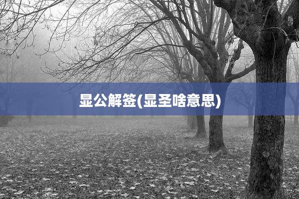 显公解签(显圣啥意思)