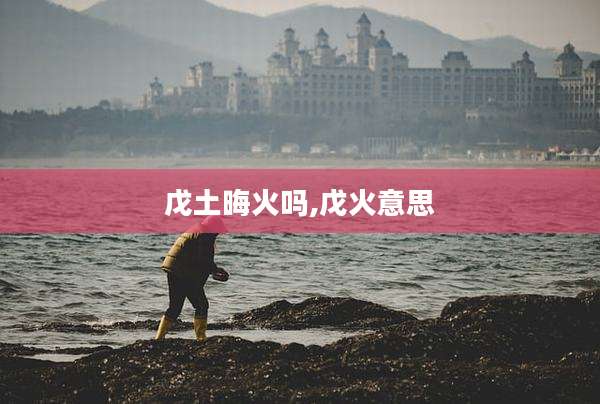 戊土晦火吗,戊火意思