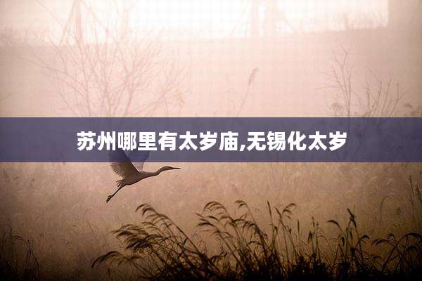 苏州哪里有太岁庙,无锡化太岁