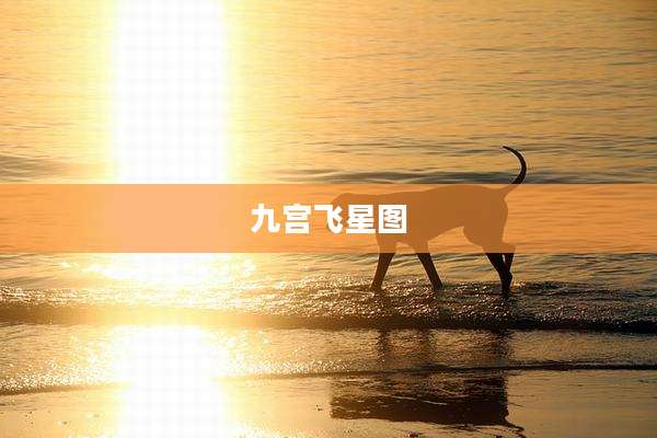 九宫飞星图