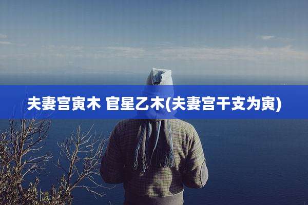夫妻宫寅木 官星乙木(夫妻宫干支为寅)