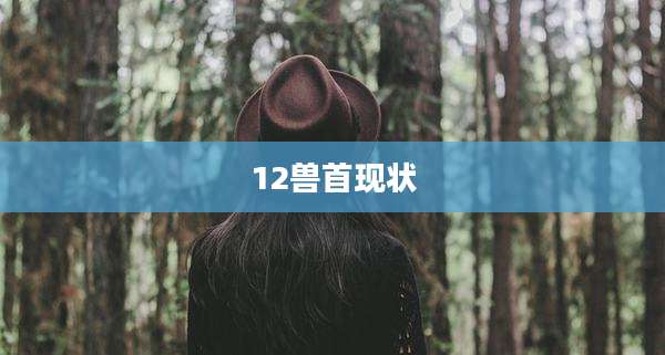 12兽首现状