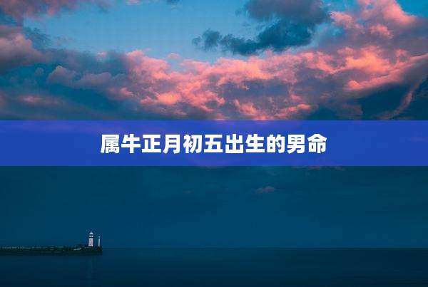 属牛正月初五出生的男命