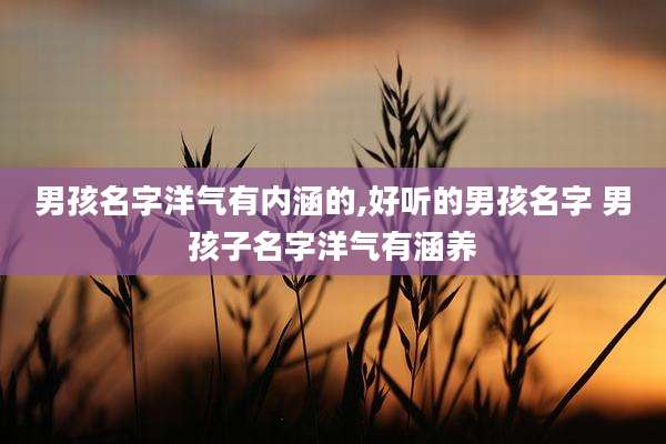 男孩名字洋气有内涵的,好听的男孩名字 男孩子名字洋气有涵养
