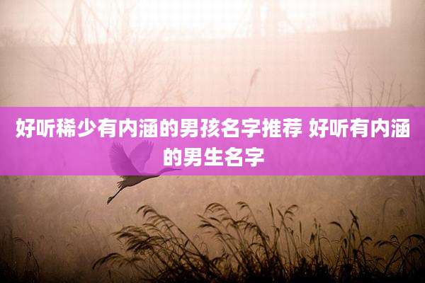 好听稀少有内涵的男孩名字推荐 好听有内涵的男生名字