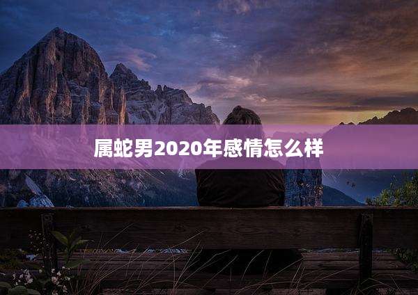 属蛇男2020年感情怎么样