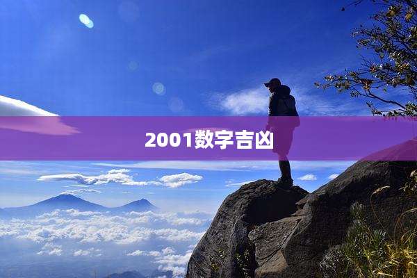 2001数字吉凶