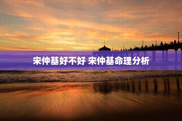 宋仲基好不好 宋仲基命理分析