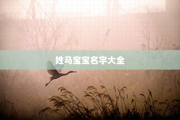 姓马宝宝名字大全