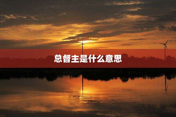 总督主是什么意思