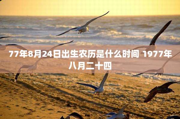 77年8月24日出生农历是什么时间 1977年八月二十四