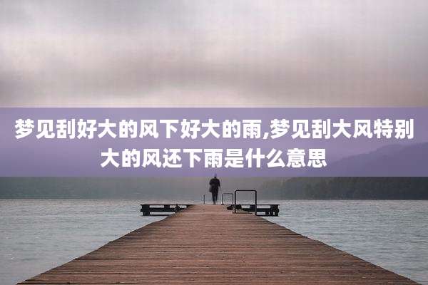 梦见刮好大的风下好大的雨,梦见刮大风特别大的风还下雨是什么意思