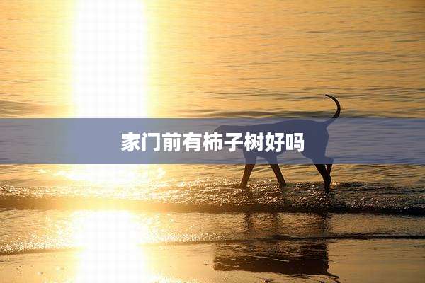 家门前有柿子树好吗