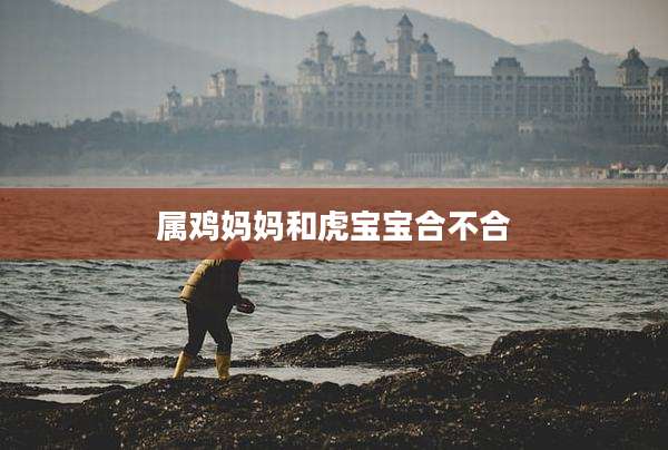 属鸡妈妈和虎宝宝合不合