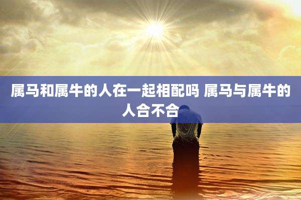 属马和属牛的人在一起相配吗 属马与属牛的人合不合