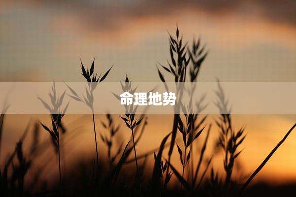命理地势