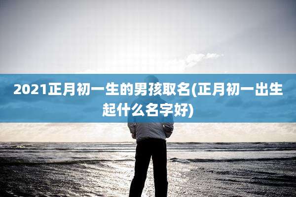 2021正月初一生的男孩取名(正月初一出生起什么名字好)