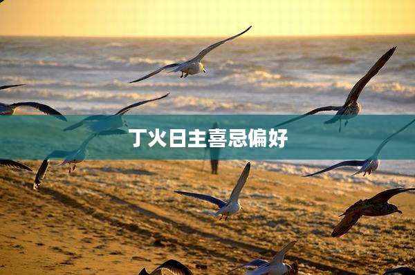 丁火日主喜忌偏好
