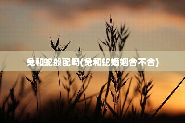 兔和蛇般配吗(兔和蛇婚姻合不合)