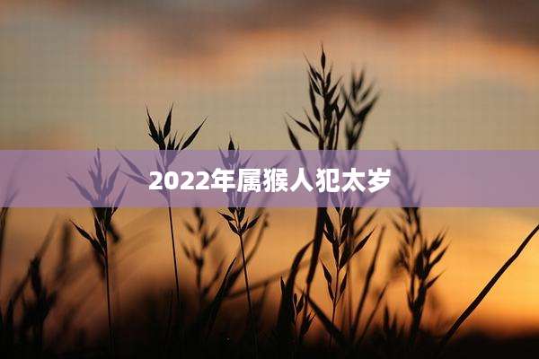 2022年属猴人犯太岁