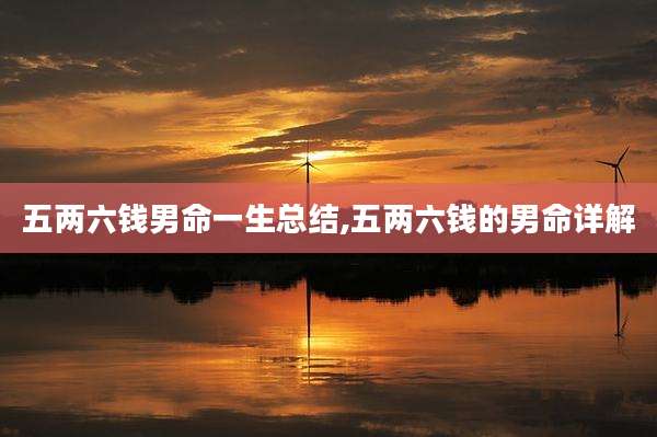 五两六钱男命一生总结,五两六钱的男命详解