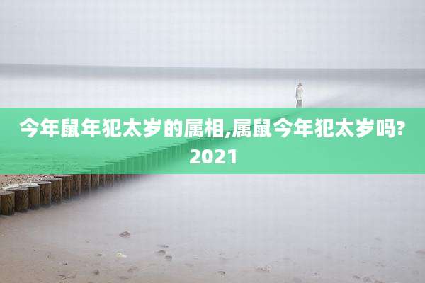 今年鼠年犯太岁的属相,属鼠今年犯太岁吗?2021