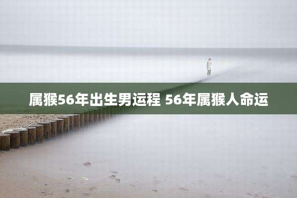属猴56年出生男运程 56年属猴人命运