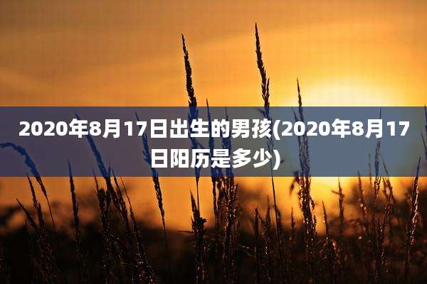 2020年8月17日出生的男孩(2020年8月17日阳历是多少)